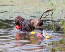 20170819-mwd-0048