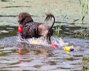 20170819-mwd-0051