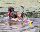 20170819-mwd-0052