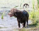 20170819-mwd-0083