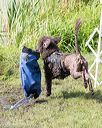 20170819-mwd-0096
