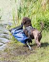 20170819-mwd-0099
