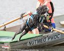 20170819-mwd-0156