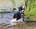 20170819-mwd-0169