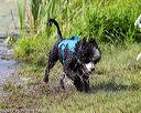 20170819-mwd-0172