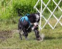 20170819-mwd-0174