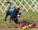 20170819-mwd-0178