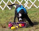 20170819-mwd-0180