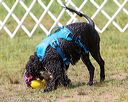20170819-mwd-0182