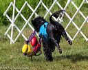 20170819-mwd-0184