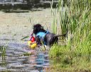 20170819-mwd-0190