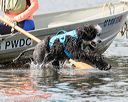 20170819-mwd-0212