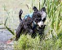 20170819-mwd-0223