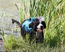20170819-mwd-0226
