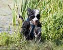 20170819-mwd-0228