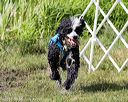 20170819-mwd-0238