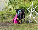 20170819-mwd-0247