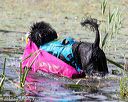 20170819-mwd-0253