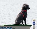 20170819-mwd-0280