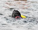 20170819-mwd-0289
