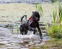 20170819-mwd-0301