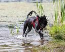 20170819-mwd-0302