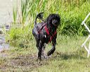 20170819-mwd-0307