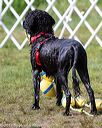 20170819-mwd-0316