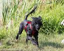 20170819-mwd-0340