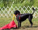 20170819-mwd-0351