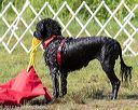 20170819-mwd-0355