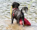 20170819-mwd-0359