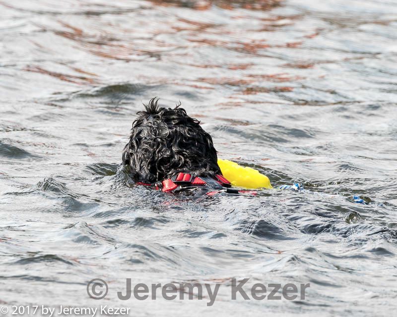 20170819-mwd-0289.jpg