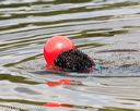 20170819-wwd-0016
