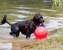 20170819-wwd-0020