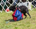 20170819-wwd-0031
