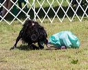 20170819-wwd-0124