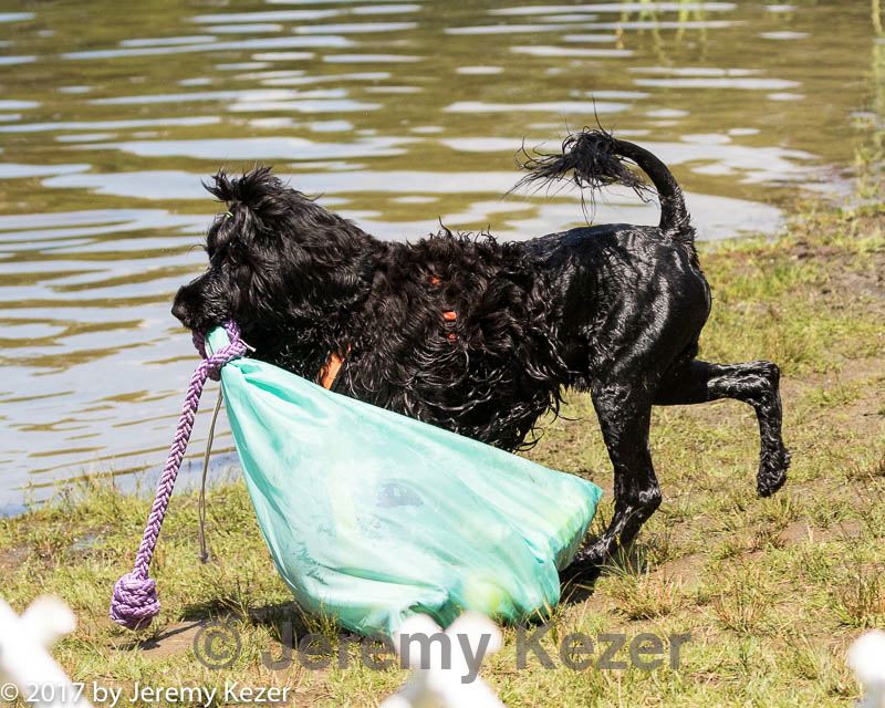20170819-wwd-0135.jpg