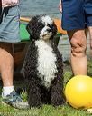 20170820-a-0007