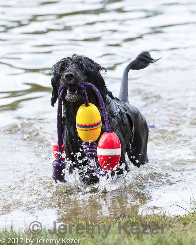 20170820-awd-0402.jpg
