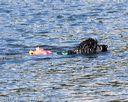 20170820-cwd-0020