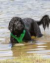 20170820-cwd-0028