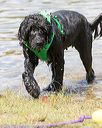 20170820-cwd-0034