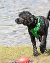 20170820-cwd-0036