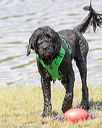 20170820-cwd-0038
