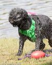 20170820-cwd-0040
