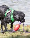 20170820-cwd-0042