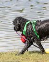 20170820-cwd-0048