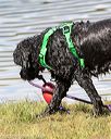 20170820-cwd-0055