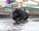 20170820-cwd-0107